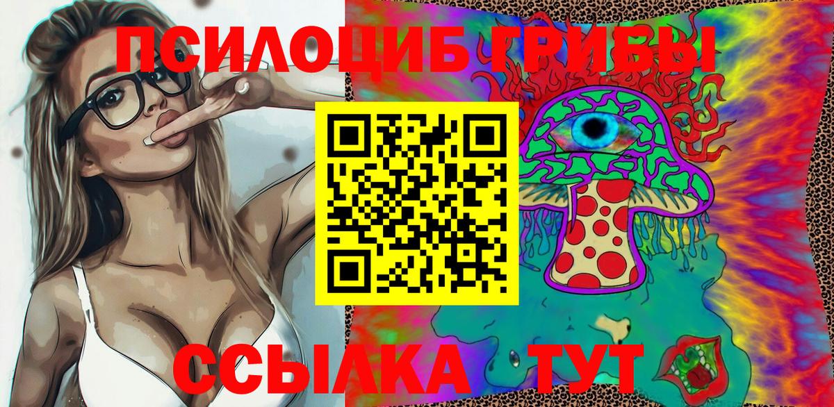 Краснодар  Псилоцибиновые грибы Psilocybine cubensis  Вход с VPN 