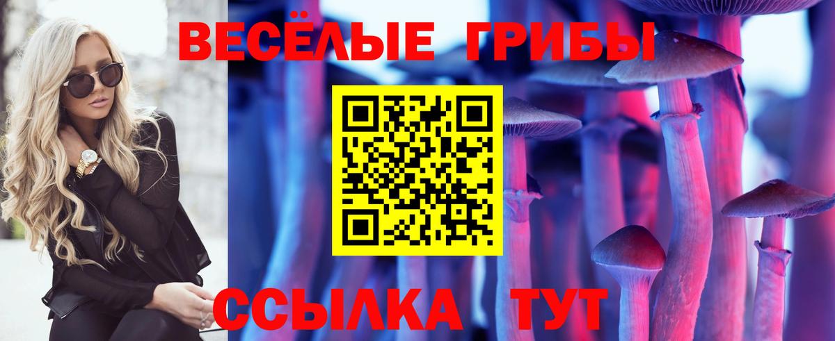 Галлюциногенные грибы прущие грибы Краснодар